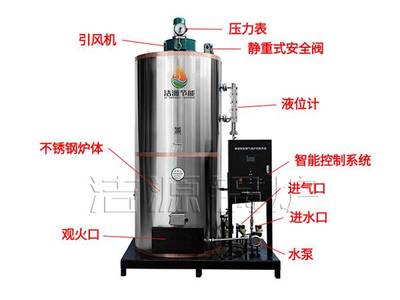 滅菌蒸汽鍋爐 高效滅菌的工業(yè)利器